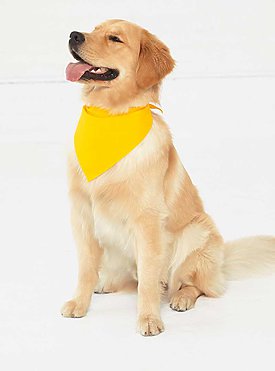DOGGIE BANDANA