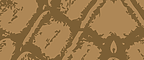 Brown Reptile