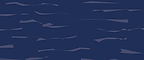 Washed Navy