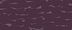 Washed Plum