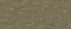 Vintage Military Green