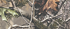 Realtree APG