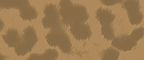 Brown Leopard