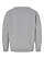 Youth Fleece Sweatshirt Heather Ghosted Back View