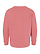 Youth Fleece Sweatshirt Mauvelous Ghosted Back View