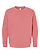 Youth Fleece Sweatshirt Mauvelous Ghosted Front View