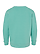 Youth Fleece Sweatshirt Saltwater Ghosted Back View