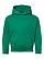 Youth Pullover Fleece Hoodie Kelly Ghosted Front View