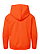 Youth Pullover Fleece Hoodie Orange Ghosted Back View