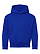 Youth Pullover Fleece Hoodie Royal Ghosted Front View