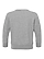 Toddler Fleece Sweatshirt Heather Ghosted Back View