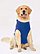 DOGGIE GAMEDAY HOODIE  Back