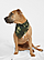 DOGGIE BANDANA 1