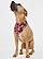 DOGGIE BANDANA 1
