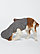 DOGGIE 3-END FLEECE HOODIE  SIDE