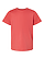 Youth Fine Jersey T-Shirt Passionfruit Ghosted Front View
