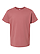 Youth Fine Jersey T-Shirt Rouge Ghosted Front View