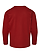 Youth Long Slv Jersey Shirt Garnet Ghosted Back View