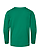 Youth Long Slv Jersey Shirt Kelly Ghosted Back View