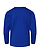 Youth Long Slv Jersey Shirt Royal Ghosted Back View