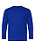 Youth Long Slv Jersey Shirt Royal Ghosted Front View