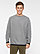 ADULT STATEMENT FLEECE CREW  