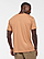 Unisex Fine Jersey T-Shirt Back View