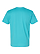 Unisex Fine Jersey T-Shirt Caribbean Ghosted Back View