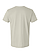 Eco-Friendly CVC T-Shirt Hazel Ghosted Back View