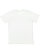 MENS FINE JERSEY TEE Honeydew Back