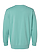 Unisex Vintage Wash Sweatshirt Washed Saltwater Ghosted Back View